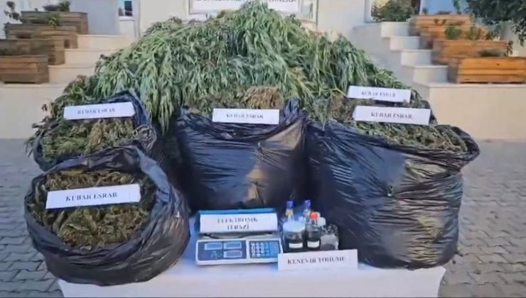 NARKOÇELİK-24 Operasyonlarıyla Zehir Tacirlerine Büyük Darbe: 13 İlde 911 Kg Uyuşturucu Ele Geçirildi