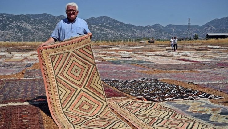 ABD’deki binlerce halı meraklısının gözü bu tarlada