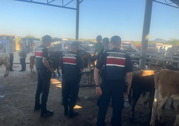 Aydın’da Terör Örgütü Propagandası Yapan 6 kişi yakalandı