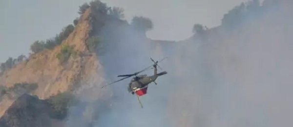 Aydın Nazilli’de Makilik ve Zeytinlik Alanında Yangın Çıktı