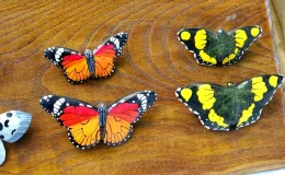 Muğla’da Ahşap Oyma Sanatıyla Biyoçeşitlilik Farkındalığı Artıyor