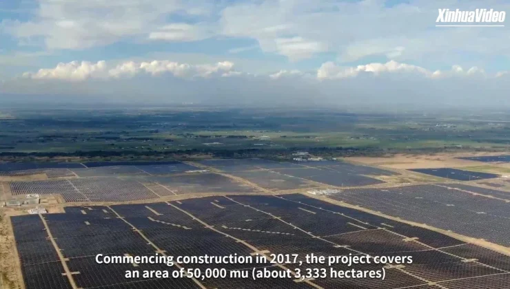 Çin’deki Fotovoltaik Proje İle İç Moğolistan’daki Çöl Yeşilleniyor