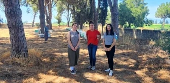 Aydın’da arı kolonileri denetlendi