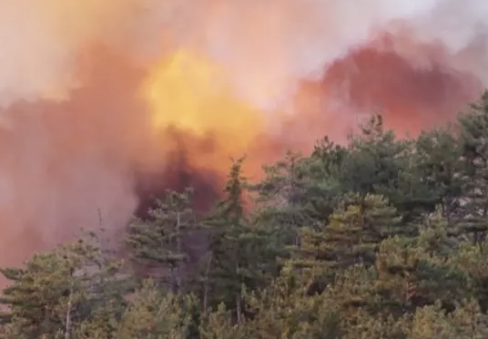 Devletimizin ayağına taş değmesin