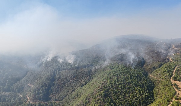 Ülke genelinde devam eden orman yangınlarını söndürme çalışmaları sürüyor
