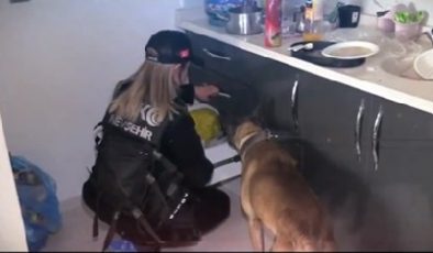 “Narkoçelik-41” operasyonlarında yaklaşık 1 ton uyuşturucu madde ele geçirildi