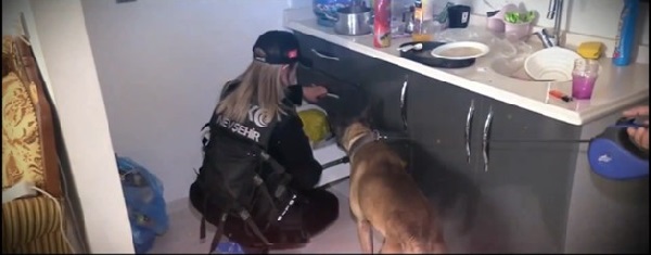 “Narkoçelik-41” operasyonlarında yaklaşık 1 ton uyuşturucu madde ele geçirildi