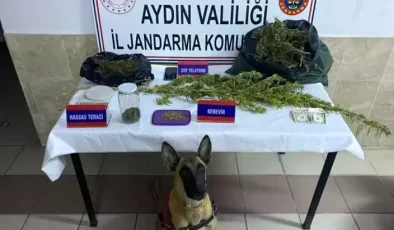 Aydın’da Uyuşturucu Operasyonu: 1 Gözaltı