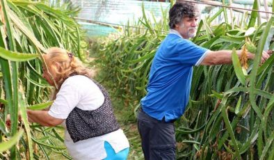 Üretime balkonda kalıyorlar, şimdi yurtta bile satış yapıyorlar