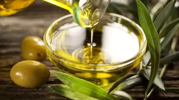 Aydın’ın Zeytin ve Zeytinyağı İhracatında Düşüş: 730 Milyondan 602 Milyona