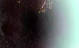 Firefly Aerospace, Ay’a iniş yapan ilk özel şirket oldu