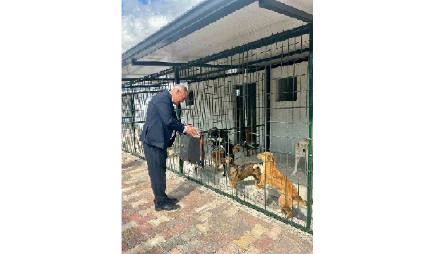 Başkan Yıldırımkaya: “Sultanhisar’da can dostlar emin ellerde”