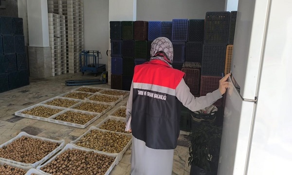 Köşk’te kuru incir depolarına sıkı denetim