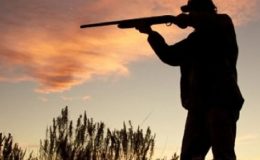 Ülke Genelinde Av Sezonu Sona Erdi: 1 Mart İtibarıyla Yasak Başladı